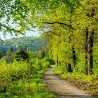 Szlak na Biskupią Kopę. Zdjęcie Mikołaj Gospodarek