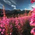 Hala Gąsienicowa to jedno z najpiękniejszych miejsc w polskich Tatrach. Zdjęcie Kuba Witos