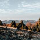 Wycieczka na Czantorię Fot. Paulina Grzesiok