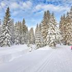 Jakuszyce fot. Adobe Stock