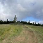 Hala Wieprzska Fot. Kajetan Domagała