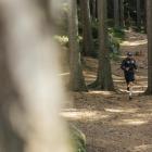 Andrzej Bargiel podczas treningu. Fot. Archiwum Andrzeja Bargiela 