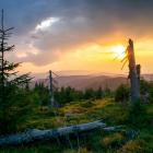 Fot. Adobe Stock