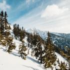 Karkonosze po czeskiej stronie są niezwykle popularne wśród narciarzy biegowych....