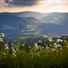 Bieszczady, okolice Wetliny. Zdjęcie Adobe Stock