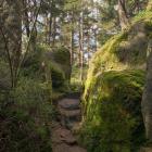 W drodze na Božanovský Špičák (752 m n.p.m.). Zdjęcie Szymon Matuszyński