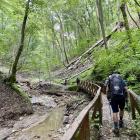 Zdjęcie Grzegorz Stodolny