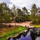 RMK Õmma raba metsaonn