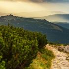Z widokiem na Szrenicę | Fot. Rafał Kotylak