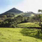 Po drodze z miasteczka Independencia na Cerro Akatí. W łatwiej dostępnych zakątkach gór...