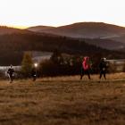 Fot. Ariel Wojciechowski