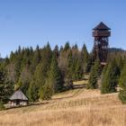 Fot.©Ola i Eryk – stock.adobe.com