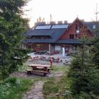 Markowe Szczawiny w Babiogórskim Parku Narodowym. Zdjęcie Tomasz Wolff