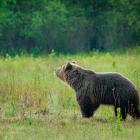 Zdjęcie Adobe Stock