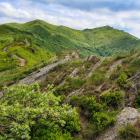 Bieszczady, niekończąca się zieleń przy pustym szlaku na Bukowym Berdzie. Zdjęcie...