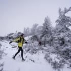 Zimowy Półmaraton Gór Stołowych. Zdjęcie Piotr Dymus