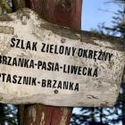 zdjęcie nr 24