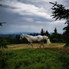 Fot. Marcin Sznajder