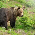 Zdjęcie Adobe Stock