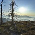 Zielony szlak z Baraniej Góry W kierunku Magurki. Zdjęcie Joachim Czaja beskidyrowerem.eu