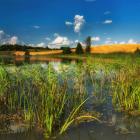 Góry Sudawskie, jezioro wśród trawiastych wzgórz, fot. Mikołaj Gospodarek