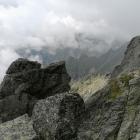 Zdjęcie Tomasz Cylka