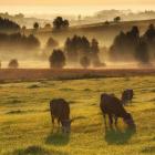 Góry Sudawskie na północno-wschodnim krańcu Polski, fot. Mikołaj Gospodarek