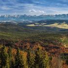 Panorama z Głównego Szlaku Beskidzkiego w okolicy Hali Rysianki. Zdjęcie...