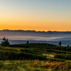 | Fot. Adobe Stock