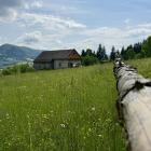 Sielskie widoki nieopodal Grybowa, fot. Kacper Szymański