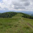 Hala Redykalna. Zdjęcie Magdalena Przysiwek
