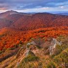  Fot. Grzegorz Lesniewski 
