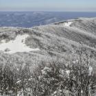 Widok z Jasła na Małe Jasło i masywy leśne Bieszczadów Zachodnich. Zdjęcie Wojtek...