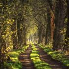 Dolina Baryczy Fot. Paweł Uchorczak