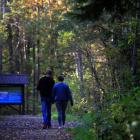 Fot. Krystian Drożdż