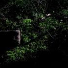 Fot. Kuba Polanowski 