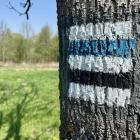 Oznaczenia niebieskiegoszlaku relacji Tarnów-Wielki Rogacz oraz czarnego z Pleśnej do...
