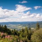 Widok z Lubonia Wielkiego. Zdjęcie Adobe Stock
