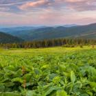 Beskidzkie hale to doskonałe miejsca do wypoczynku na łonie przyrody. Zdjęcie...