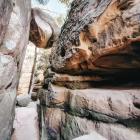 Fot. Paulina Grzesiok