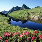 Dolina Alpbachtal znana jest również jako Seenland, czyli kraina jezior | Fot....