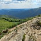 Zdjęcie Daniel Przewoźny