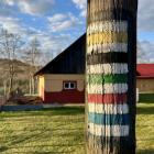 Rzadki widok - wszystkie kolory szlaków w jednym miejscu. Okolice Jamnej na Pogórzu...