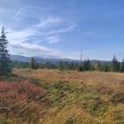 Torfowiska w Bieszczadach. Zdjęcie Elżbieta Słoboda