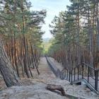 Nowe schody do latarni Czołpino Fot. Aleksandra i Daniel Sienkiewiczowie