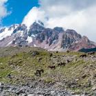 Ścieżka, którą podążają trekkersi i zwierzęta z bagażami. Zdjęcie Bartek Obrzut