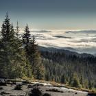 Gorce, widok z Kiczory, w stronę Doliny Furcówki
fot. Marek Kurzeja