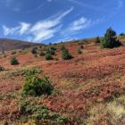 Rude zbocza najwyższego szczytu Kosowa