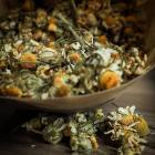 Fot. Ewa Nowak