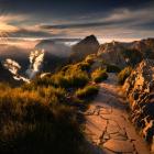 Zdjęcie Karol Nienartowicz